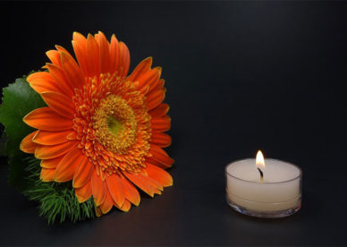 أحلى صورة شمعة ووردة برتقالية Orange Rose And Candle-عالم الصور